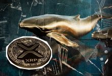 پیشبینی صعود XRP در پی شایعه همکاری ریپل و کاردانو؛ نهنگها به میدان برگشتند!