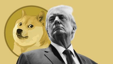 پیشتازی دوجکوین در رالی پس از پیروزی ترامپ؛ DOGE به جایگاه ششم بازار رسید!