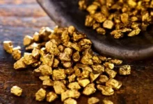 چین بزرگترین مخزن طلای جهان را کشف کرد: ۱۱۰۰ تن طلا به ارزش ۸۳ میلیارد دلار