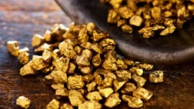 چین بزرگترین مخزن طلای جهان را کشف کرد: ۱۱۰۰ تن طلا به ارزش ۸۳ میلیارد دلار