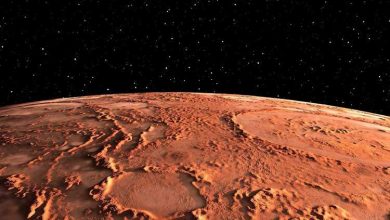کشف شواهدی برای وجود یک خط ساحلی در مریخ