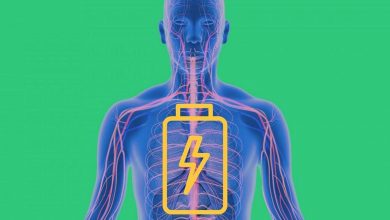 گرمای هدررفته از بدن ما می‌تواند انرژی سبز تولید کند