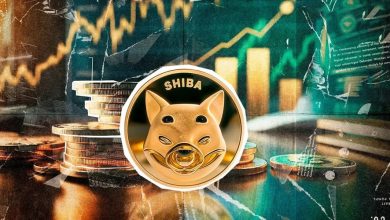 ۳ سیگنال مثبت برای ادامه روند صعودی شیبا؛ هدف بعدی قیمت SHIB کجاست؟