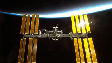 ۳ نکته شگفتانگیز درباره ممنوعیتهای فضانوردان ایستگاه فضایی بینالمللی
