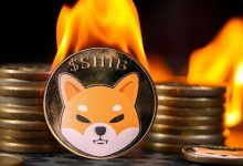 ۵٫۶ میلیارد شیبا اینو در یک روز سوزانده شد! قیمت SHIB بالاخره بالا میرود؟