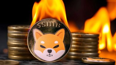 ۵٫۶ میلیارد شیبا اینو در یک روز سوزانده شد! قیمت SHIB بالاخره بالا می‌رود؟