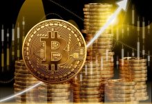 ۶۰ درصد از بازار کریپتو تحت سلطه بیتکوین! آلتکوینها در خطر ریزش بیشتر؟