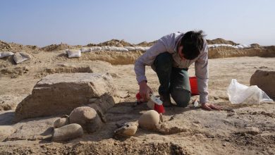 آثار باستانی ۵هزار ساله در عراق، از فروپاشی یکی از اولین دولتهای جهان حکایت میکند