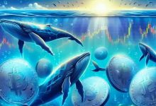 آلتکوینهایی که نهنگها در هفته گذشته خریدند!