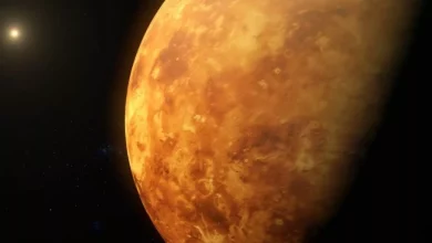 آیا سیاره زهره اقیانوسهایی برای میزبانی از حیات داشته است؟ مطالعه جدید پاسخ میدهد