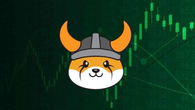 آیا فلوکی در مسیر رشد میماند؟ پیشبینی اهداف قیمت FLOKI در رالی ۲۰۲۵