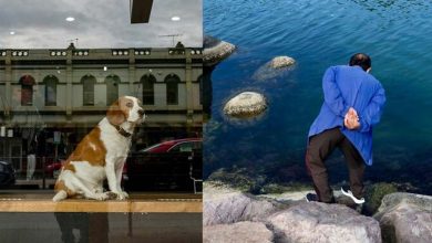 از کنارشان رد میشویم: عکاسی خیابانی و شکار لحظههایی که نمیبینیم