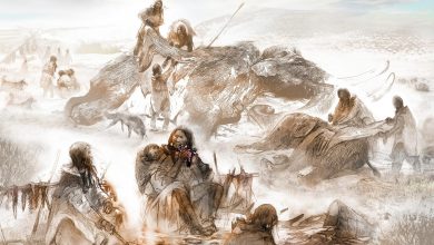 استخوانهای ۱۳هزار ساله نشان میدهد ماموت غذای اصلی ساکنان اولیه آمریکا بود