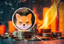 افزایش ۱۰۰۰ درصدی شیباسوزی؛ سرمایهگذاران به رشد دو برابری SHIB امیدوارند!