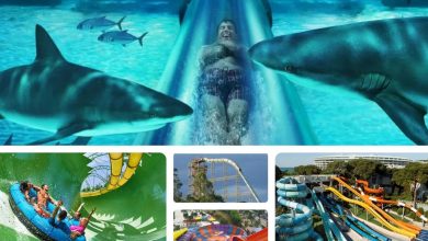 اقامت 24: لیست 9 سرسرهآبی ترسناک در سراسر دنیا