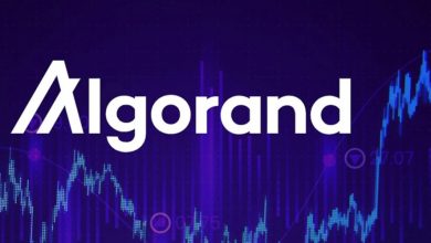 الگوراند در کانون توجه بازار؛ رشد ۳۰۰ درصدی سرمایه و چشمانداز مثبت ALGO