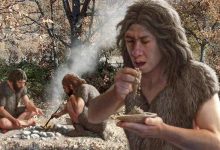 انسان خردمند به ژنهای نئاندرتالها مدیون است