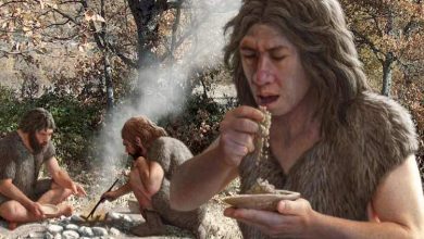 انسان خردمند به ژنهای نئاندرتالها مدیون است