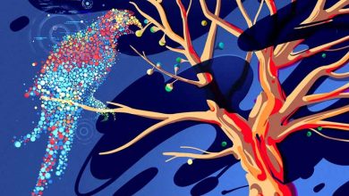 انقلاب هوش مصنوعی با کمبود داده‌ها مواجه است؛ چه باید کرد؟