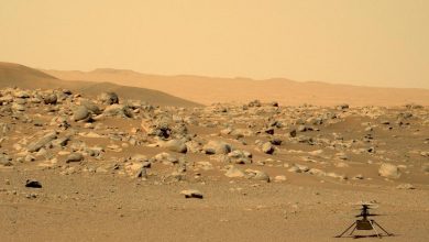 اولین گزارش سانحه هوایی در جهانی دیگر: علت سقوط هلیکوپتر اینجنیوتی معلوم شد