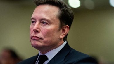 ایلان ماسک برای جلوگیری از سودمحورشدن OpenAI، یار کمکی جذب کرد