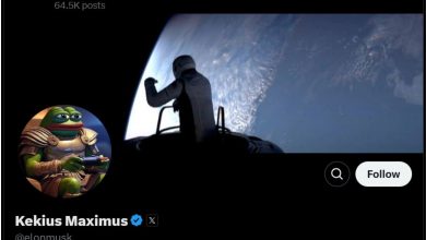 ایلان ماسک نام حساب کاربری‌اش را به میم‌کوین «Kekius Maximus» تغییر داد و باعث رشد ۹۰۰ درصدی آن شد!