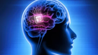 ایمپلنت رقیب چینی نورالینک در جمجمه 3 نفر کاشته شد؛ آزمایشهای بیشتر در سال 2025