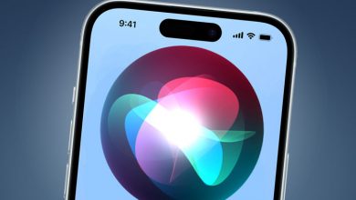 این ۵ دستور جذاب را به سیری بدهید!