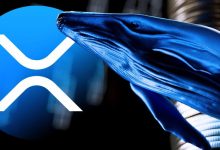 بازار ریپل در جوش و خروش؛ نهنگها ۸۳۰ میلیون XRP خریدند!