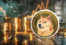 بازگشت قدرت به دوجکوین؛ چه عواملی رشد DOGE را تقویت میکنند؟