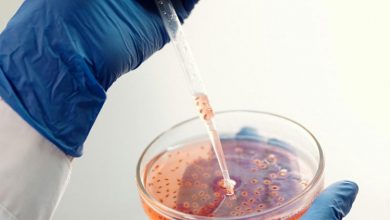 باکتریهای آزمایشگاهی «آینهای» میتوانند حیات روی زمین را به خطر بیندازند