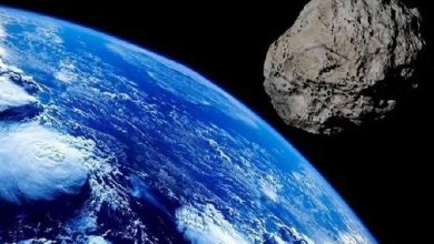 برخورد ۳۵ میلیون سال پیش سیارکها به زمین بر آبوهوا تاثیر نداشت