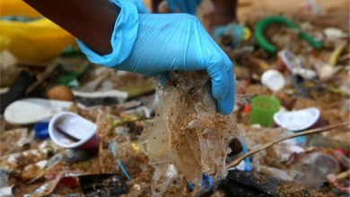 بنبست در مذاکرات جهانی آلودگی پلاستیکی؛ کشورهای تولیدکننده نفت مخالف هستند