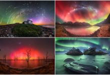 بهترین عکس‌های شفق قطبی در سال ۲۰۲۴