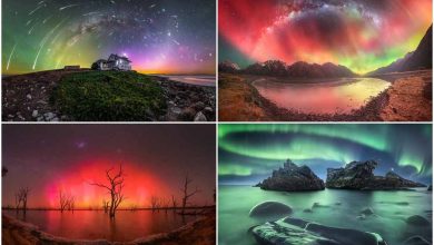 بهترین عکسهای شفق قطبی در سال ۲۰۲۴