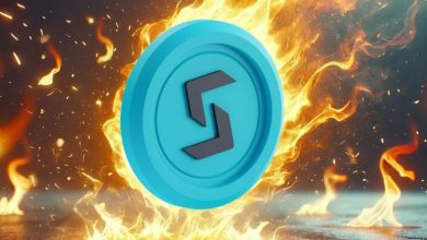 بیتگت ۴۰ درصد از عرضه توکن خود را سوزاند! منتظر اوجگیری قیمت BGB باشیم؟