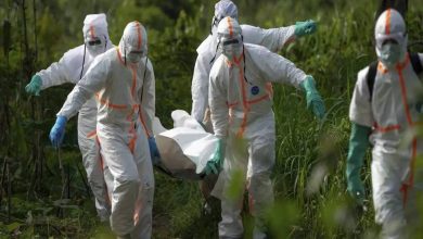 بیماری ناشناختهای موجب مرگ ۱۴۳ نفر در کنگو شده است