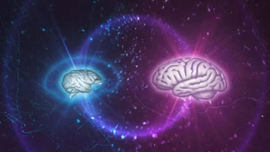 تحقیق جدید: سلولهای مغز انسان در فضا سریعتر رشد میکند