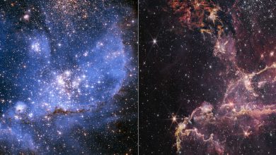 تلسکوپ فضایی جیمز وب معمای ۲۰ ساله هابل را حل کرده است