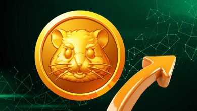 جزییات جدید فصل دوم همستر کامبت؛ روزهای سخت توکن HMSTR به پایان میرسد؟