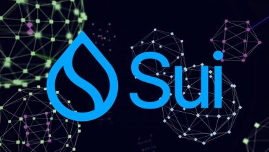 جهش بزرگ سویی در بازار دیفای؛ سرمایه شبکه و قیمت SUI رکورد جدید زد!
