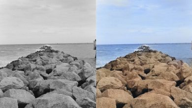 خاطرات را زنده کنید؛ بهترین ابزارها برای رنگی کردن عکس های سیاه و سفید