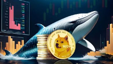 خرید بزرگ نهنگها در روزهای پایانی ۲۰۲۴؛ دوجکوین، اینجکتیو و پال در کانون توجه!
