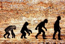 داستان کامل تکامل بشر؛ از میمون‌های انسان‌نمای باستانی تا انسان خردمند