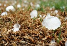 دانشمندان در تلاش برای درک نحوه شکل‌گیری تگرگ‌های مرگبار یک کیلوگرمی هستند