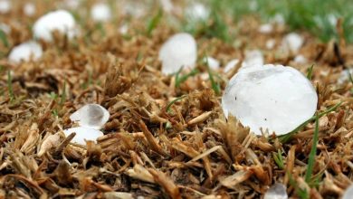 دانشمندان در تلاش برای درک نحوه شکلگیری تگرگهای مرگبار یک کیلوگرمی هستند