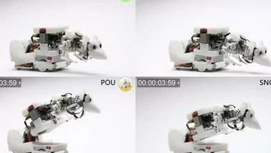 دانشمندان موش رباتیکی ساخته‌اند که می‌تواند با موش‌های واقعی ارتباط برقرار کند [تماشا کنید]