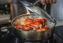 دانشمندان میگویند خرچنگها واقعاً میتوانند درد را احساس کنند