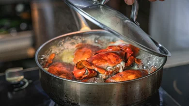 دانشمندان میگویند خرچنگها واقعاً میتوانند درد را احساس کنند