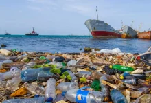 دانشمندان ژاپنی پلاستیک سازگار با محیطزیست ساختهاند که در آب دریا حل میشود